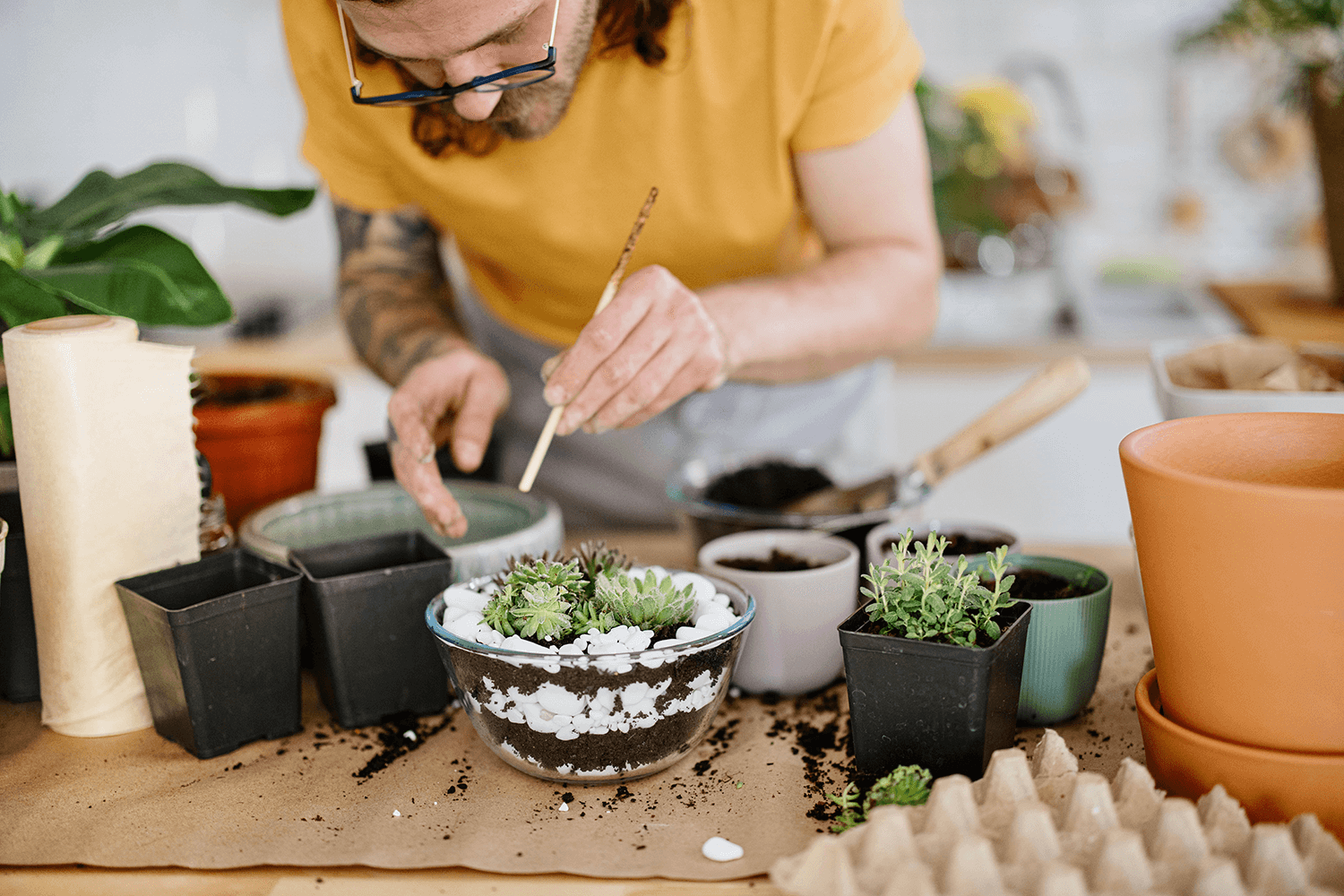 hombre cuidando plantas