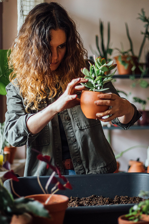 mujer sosteniendo planta